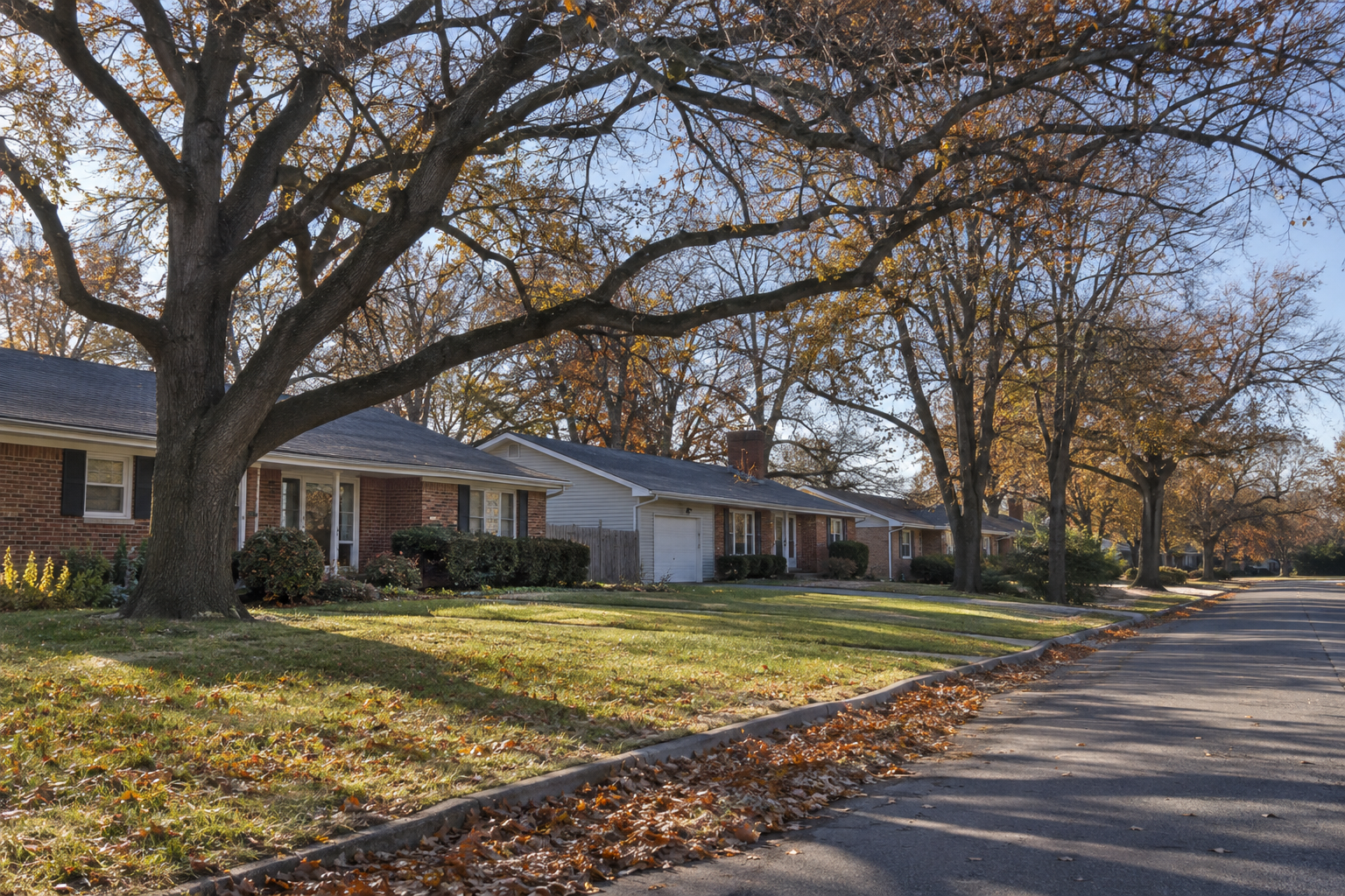Quiet street of ranch houses under mature shade trees in late fall, leaves half down